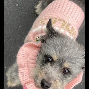 Meet your Posher, Alissa